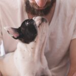 El Vínculo con las Mascotas: el Amor Incondicional